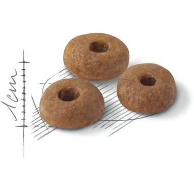 غذای گربه رویال فیت 1kg امارات